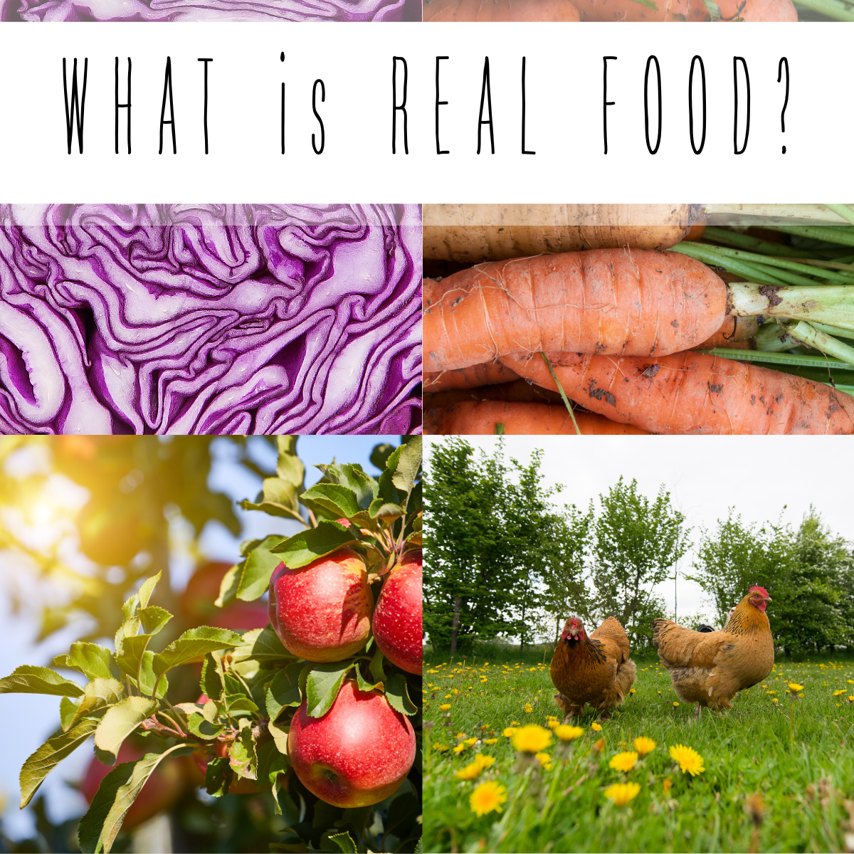 What is Real Food